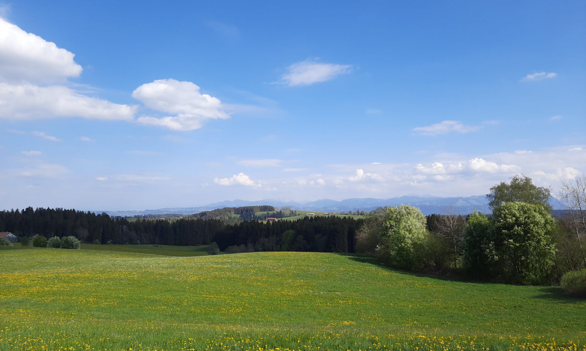 lanig.net